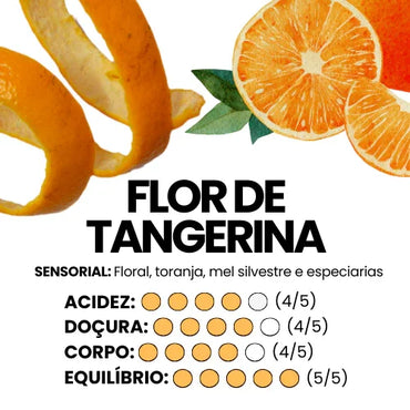 Descascamento e fatias de tangerina com avaliação sensorial de Flor de Tangerina: acidez, doçura, corpo e equilíbrio