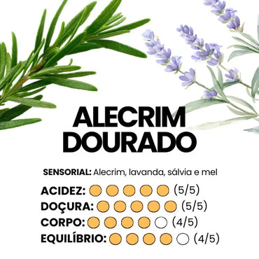 Infográfico de Alecrim Dourado com ilustrações de alecrim e lavanda, notas sensoriais e avaliações de acidez, doçura, corpo e equilíbrio