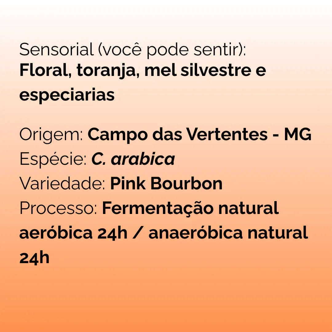 Descrição sensorial de café: floral, toranja, mel silvestre, especiarias; origem Campo das Vertentes MG; variedade Pink Bourbon; fermentação natural 24h
