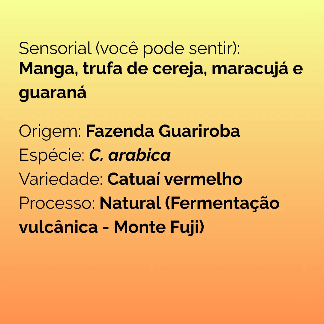 Descrição sensorial e origem do café Catuaí vermelho da Fazenda Guariroba com processo natural e fermentação vulcânica
