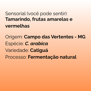 Grãos de café single origin Tamarindo, torra artesanal Azo Roasters