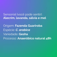 Descrição sensorial e origem do café: alecrim, lavanda, sálvia, mel, Fazenda Guariroba, C. arabica, variedade Gesha, processo anaeróbico natural 48h