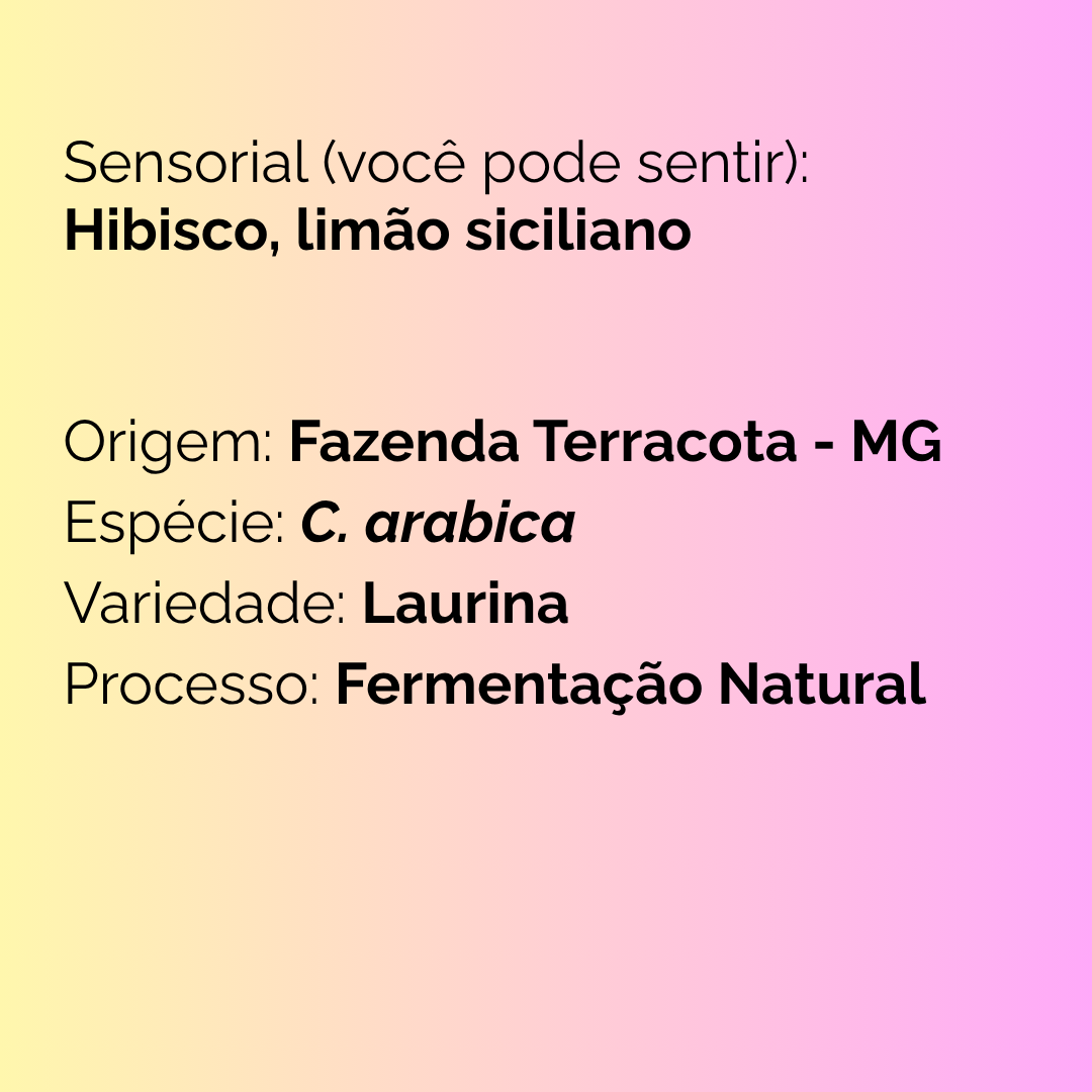 Azo Roasters Microlote baixa cafeína - Grãos de café single origin tostado